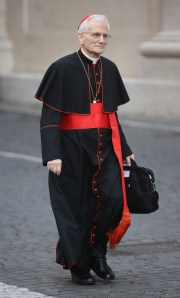 Raffaele+Farina+Vatican+Prepares+Election+S19xtah-YI0x