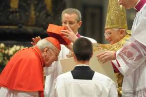 Jan2011Nov2010BartolucciReuters