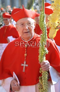 Pope Benedict XVI leads the Palm Sunday mass in Saint Peter's Square at the Vatican.April 17 2011.