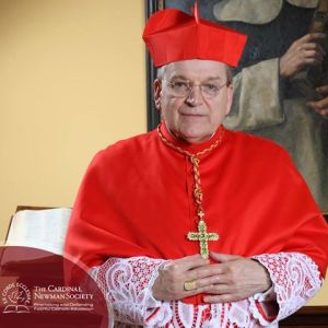 10806429_10152779535488886_4828076339322054205_n