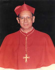 Kardinal-Julius-Darmaatmadj